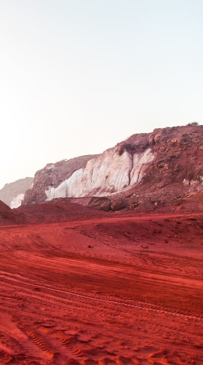 Alt text: Transplanting process: Thinning seedlings for optimal growth.