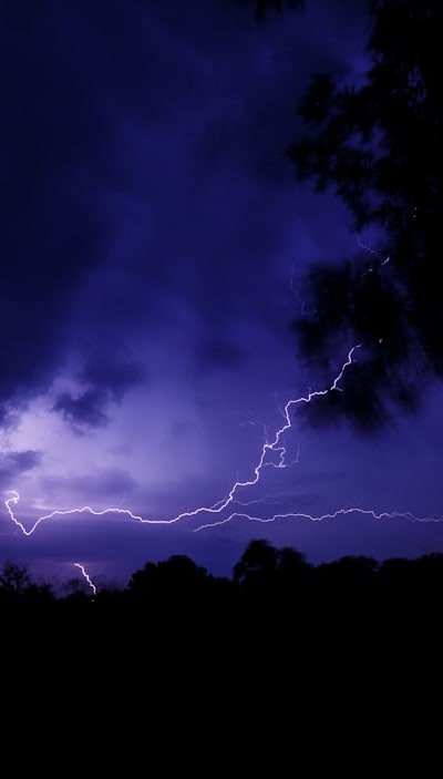 Choosing seeds suited to your climate is crucial.