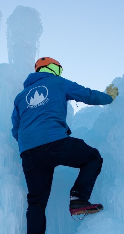 Choosing the right seeds for successful climbing plant growth.