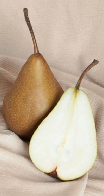 Unlocking the secrets of exotic fruit seeds