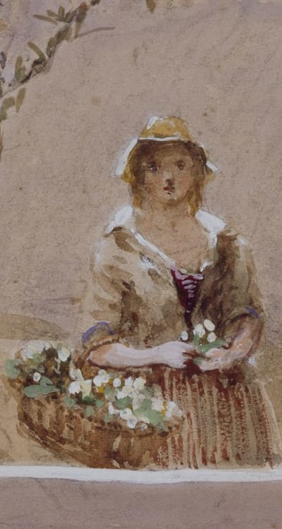 Exploring the world of flower seeds for endless variety.