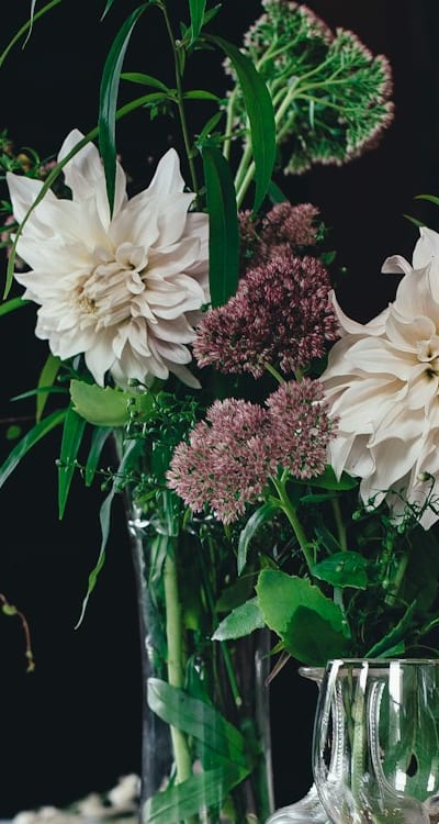 Troubleshooting common issues in growing organic cut flowers.