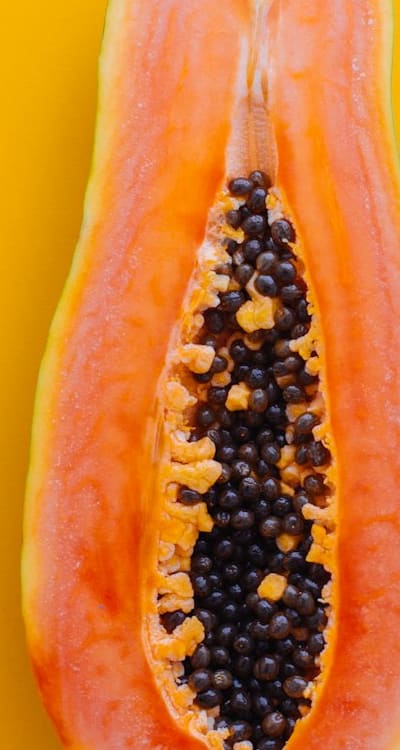 Alt text: Organic fruit seeds for germination and propagation.