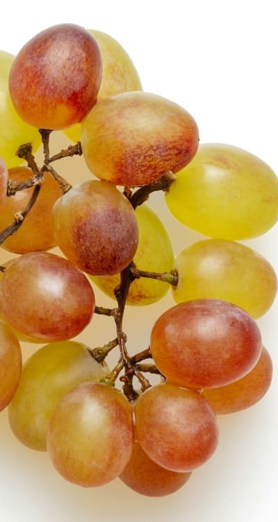 A close-up of heirloom fruit seeds