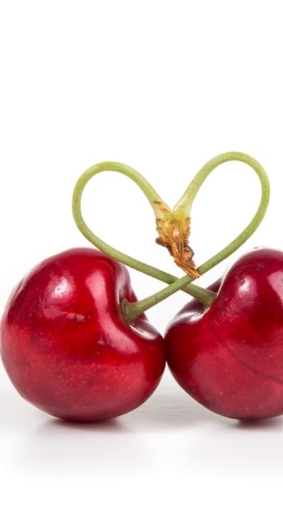 A guide to encouraging fruit seed germination.