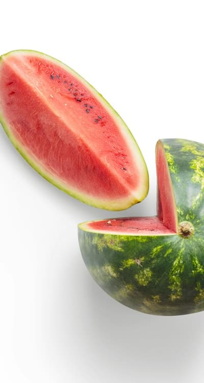 A collection of fruit seeds ready for planting.