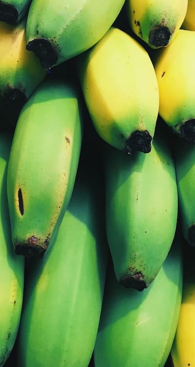 Diverse varieties of fruits for your garden.