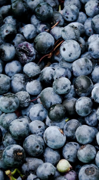 Selecting the right seeds for your aquaponics journey