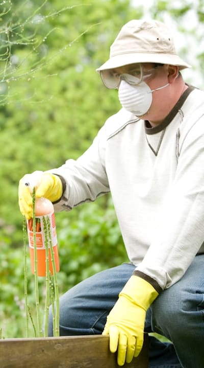 Saving fruit seeds for a successful garden.