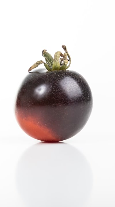 A comparison of monocot and dicot seeds.