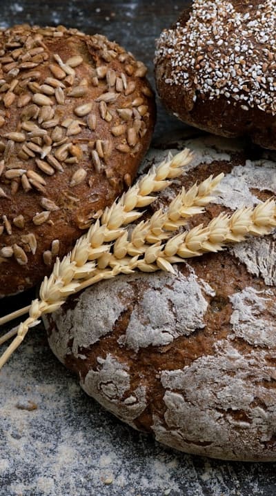 Choosing the Right Quantity and Storing Lettuce Seeds