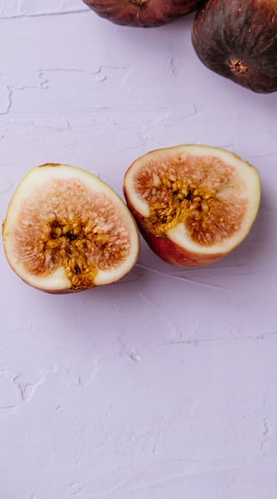 Understanding the anatomy of monocot seeds for successful gardening.