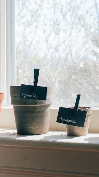 Understanding the structure of monocot seeds enhances gardening endeavors.