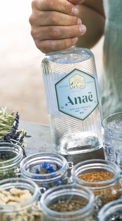 Monocot seeds: a unique aspect of plant growth