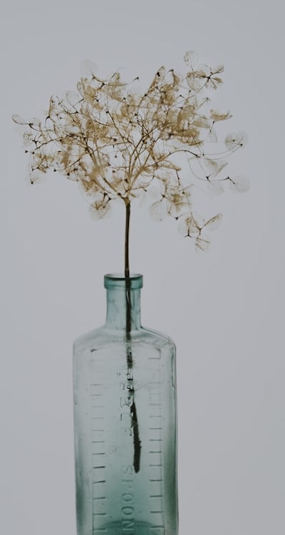 Seeds packaged in durable containers for longevity.