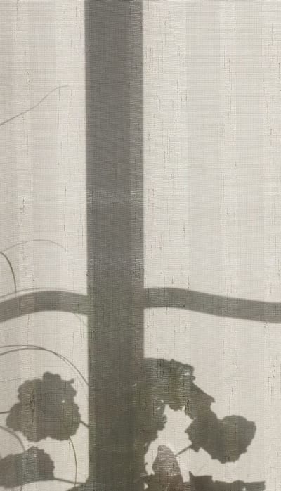 Organic seeds promote chemical-free gardening and healthier plants.