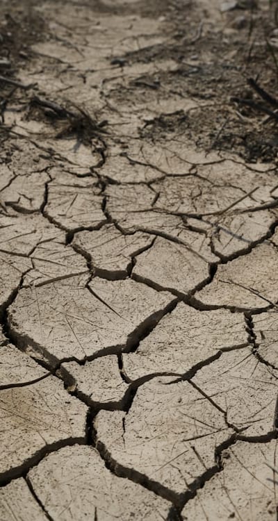 Hands planting seeds in soil for germination