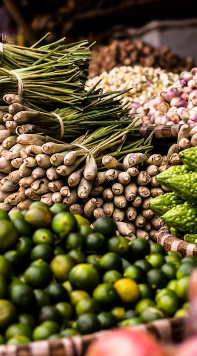 Preserving heirloom plant varieties through seed regeneration