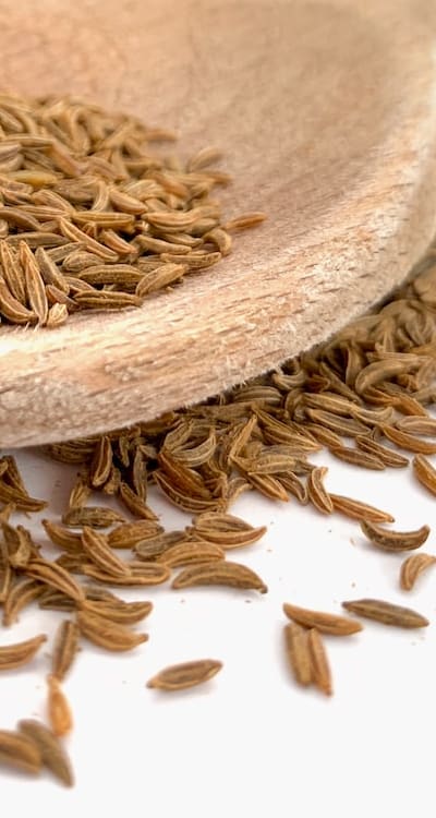 High-quality organic vegetable seeds, essential for thriving gardens.