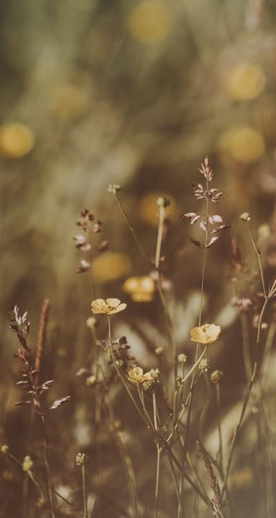 Choosing the perfect seeds for a blooming garden.