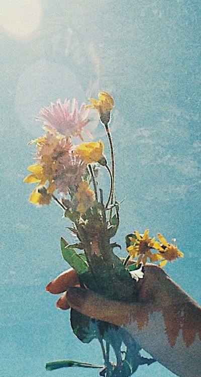 Timing is crucial for successful wildflower seed sowing.