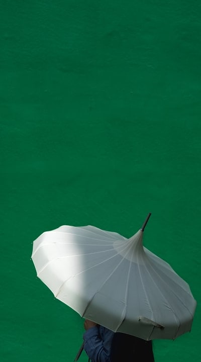 Protect bean plants from extreme weather with shade cloth.