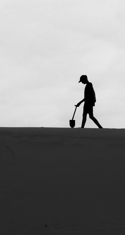 Organic gardening tips and summer flowering bulbs.