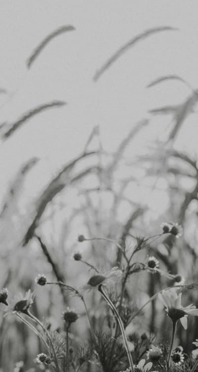 Clearing the area with a shovel for planting wildflowers.