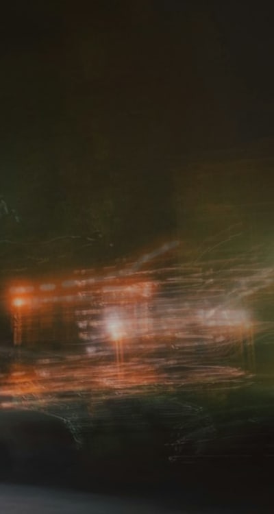 Overcoming challenges in perennial flower seed germination.