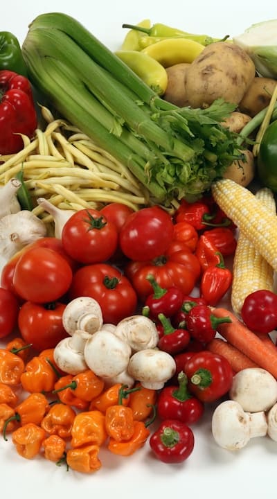 Preparing the soil for healthy bean growth.