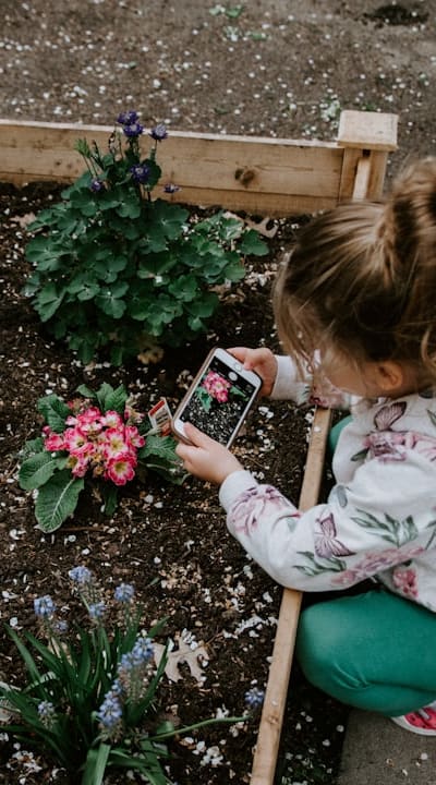 Applying organic fertilizer to support healthy beet growth.