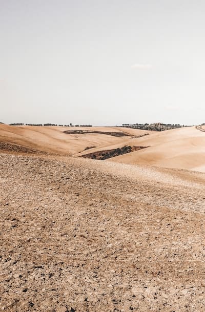 Begonias getting watered in the morning sunlight