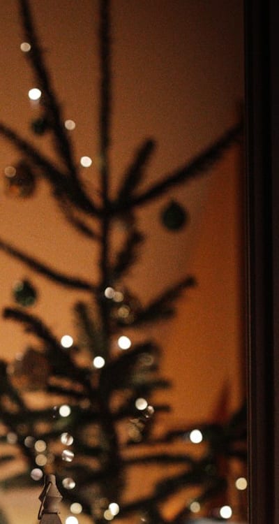 Watering guidelines for healthy bell pepper plants.