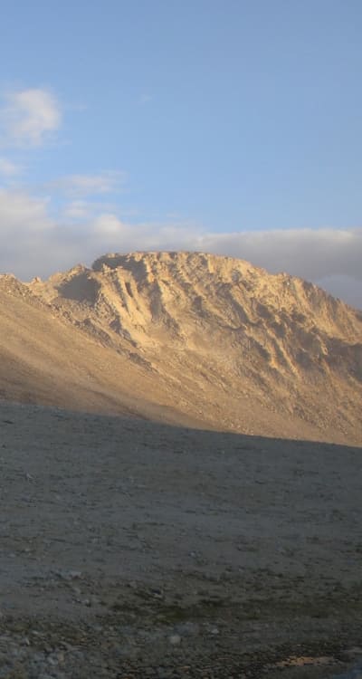 Sowing carrot seeds: timing, spacing, and requirements