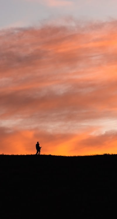 Outdoor germination process for climbing plants