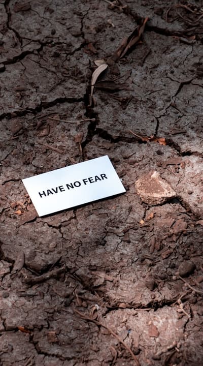 A soil test and compost can improve soil fertility.