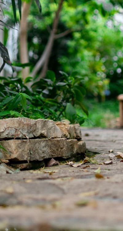 Gardening with cottage garden flowers, prepare the soil for planting.