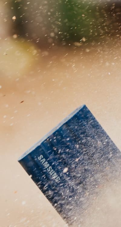 Dazzling Daisies growing and blooming with care