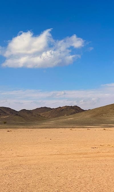 Organic gardeners planting dicots in well-drained soil.