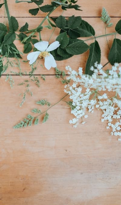 Preparing the soil for healthy flower growth