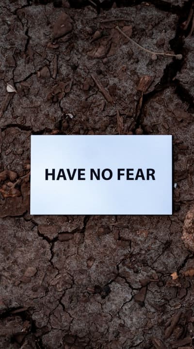 Watering plays a crucial role in the successful growth of freesias.