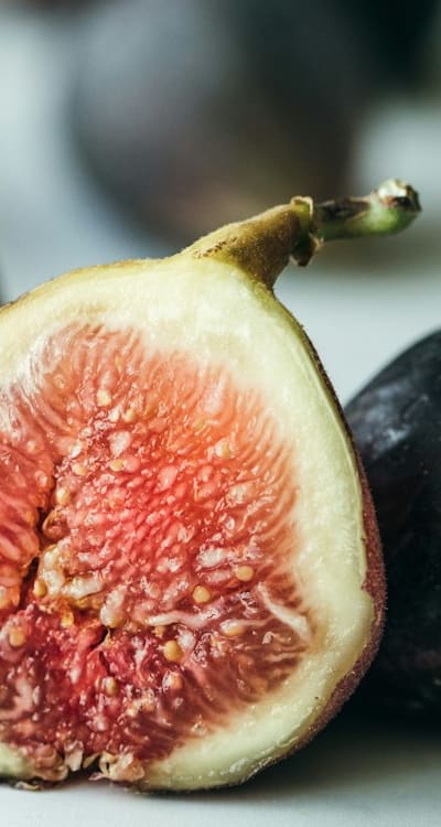 Composting with fruit seeds: enhancing fertility and diversity.
