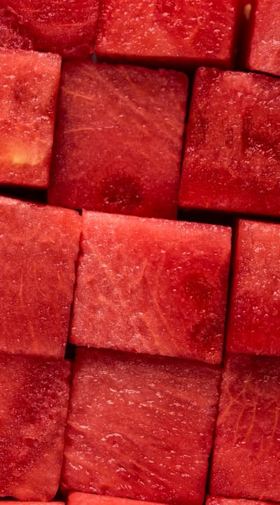 Excessive fruit seeds can slow composting process.