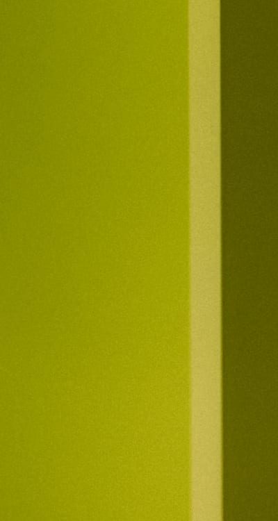 Prevent over-fertilizing for healthy green bean growth