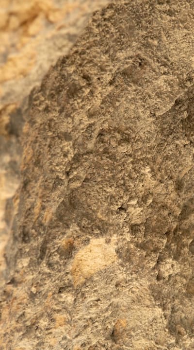 Planting herb seeds in moistened soil