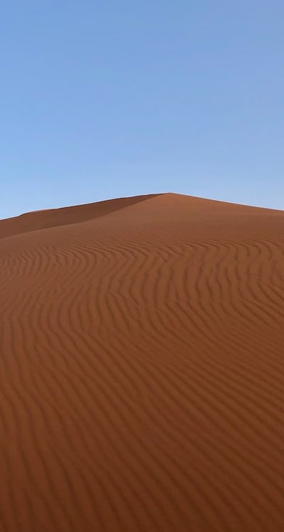 Preventing Herb Seedling Diseases in Your Organic Garden