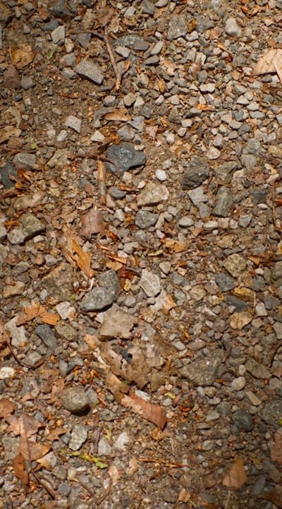 Vermiculite and perlite enhance seed starting mixes.