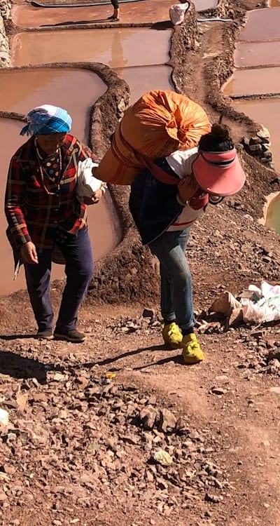 Alt text: Well-draining soil for perennial flower seed germination.