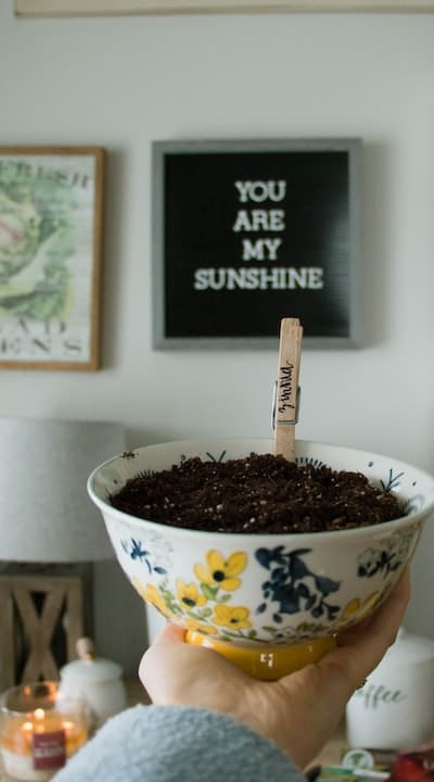 Nutrient-rich soil is key for healthy plants.