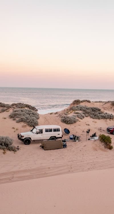 Preparing soil for pole beans planting.
